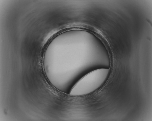 X0000103491312200809120941