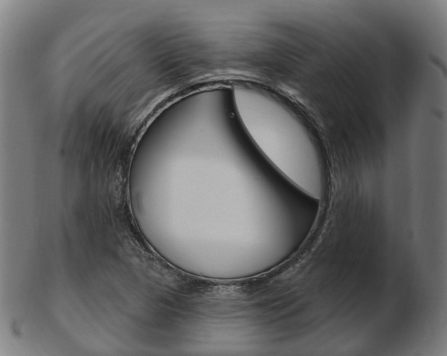 X0000103491313200809120942