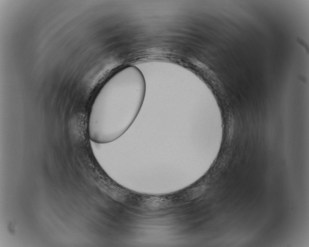 X0000103491314200809120942