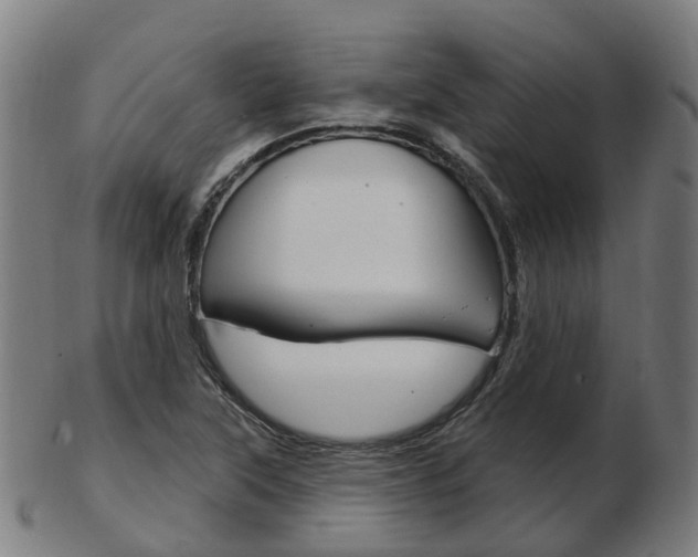 X0000103491315200809120942