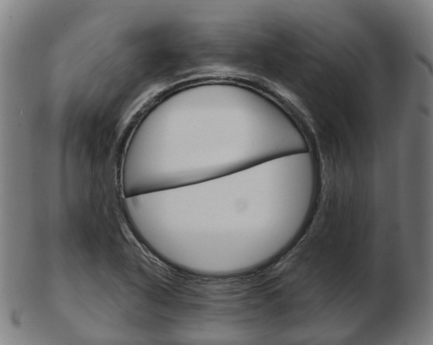 X0000103491318200809120942