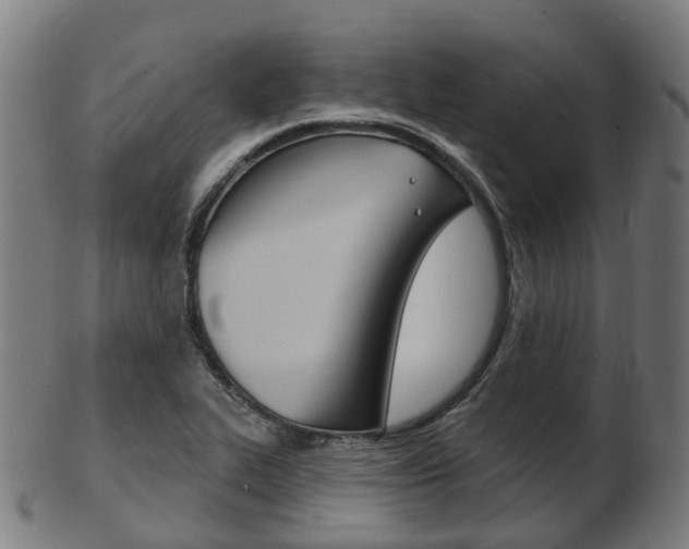 X0000103491319200809120942