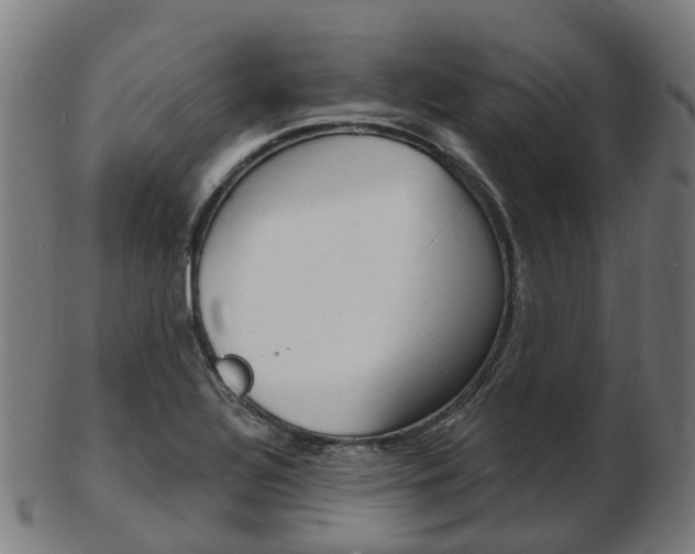 X0000103491320200809120942