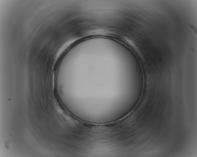 X0000103491323200809120942