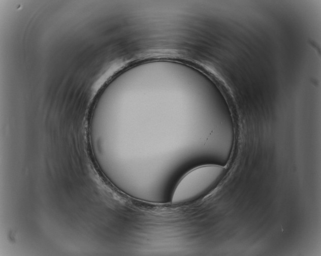 X0000103491325200809120942