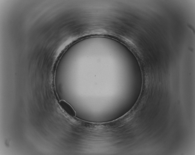 X0000103491326200809120942