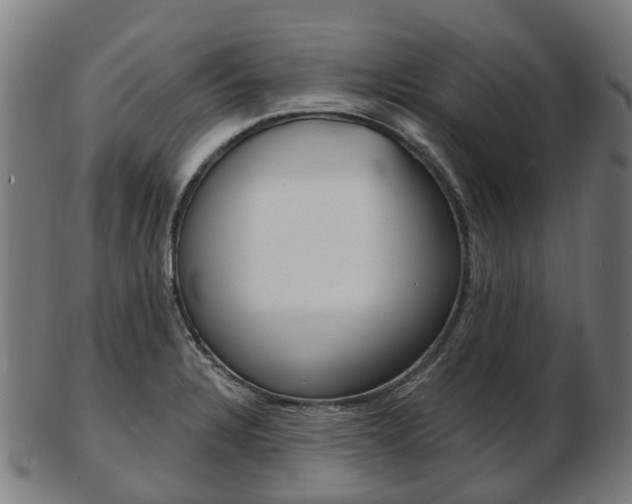 X0000103491328200809120942
