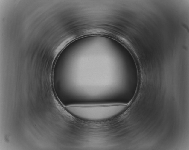 X0000103491330200809120942