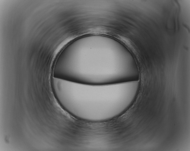 X0000103491331200809120942