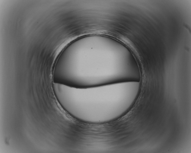 X0000103491332200809120942