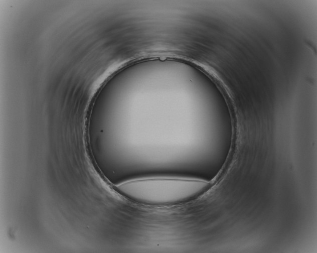 X0000103491333200809120942