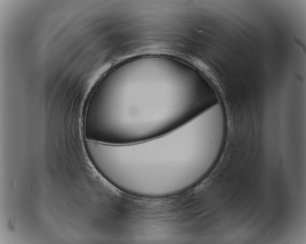 X0000103491334200809120942