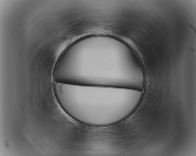 X0000103491335200809120942