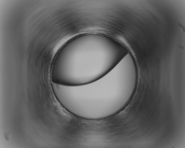 X0000103491336200809120942