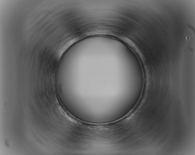 X0000103491337200809120942