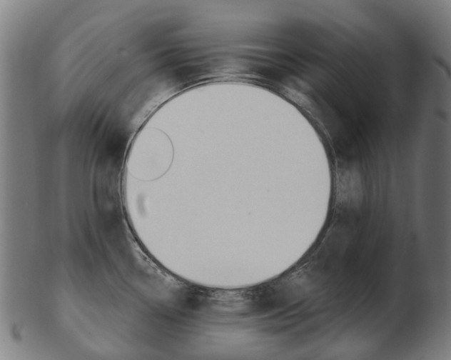 X0000103491338200809120942