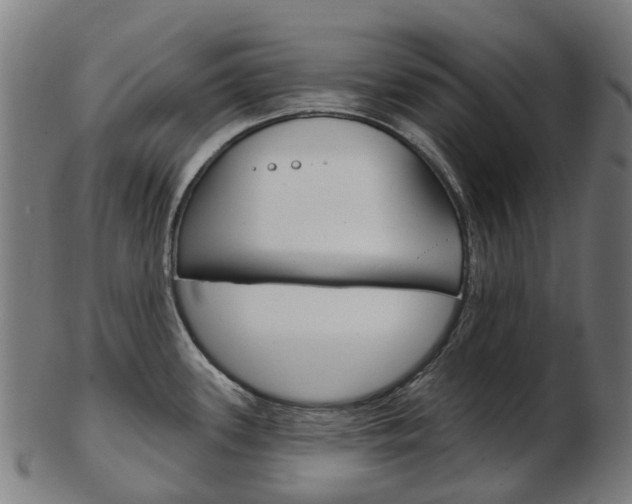 X0000103491339200809120942