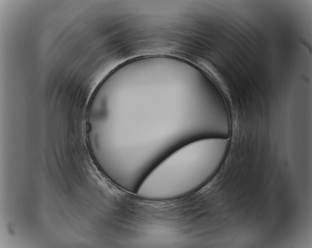 X0000103491340200809120942