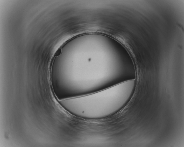 X0000103491342200809120942