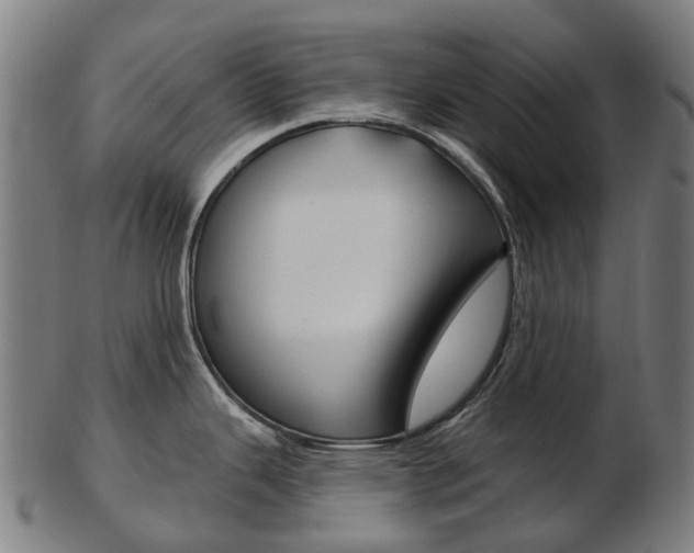 X0000103491343200809120942