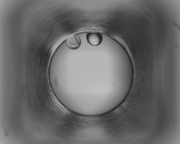 X0000103491344200809120942