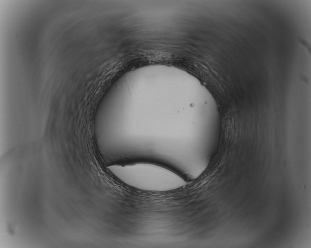 X0000103491345200809120941