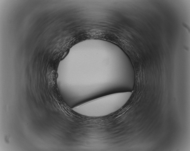 X0000103491346200809120941