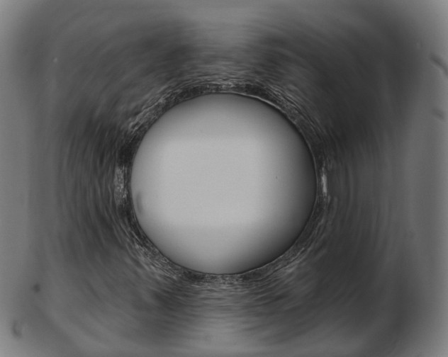 X0000103491347200809120941