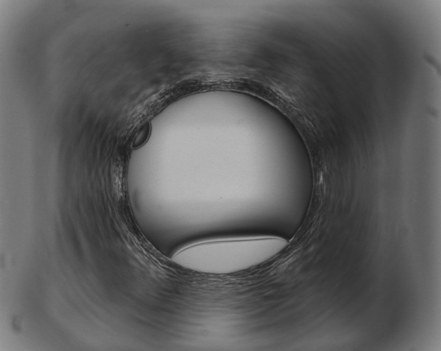 X0000103491348200809120941