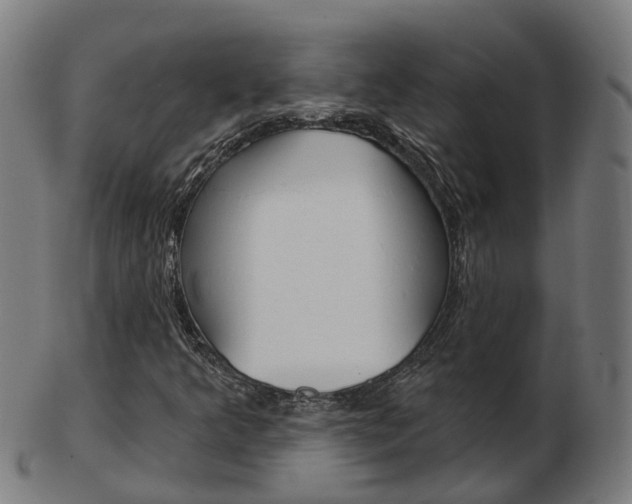 X0000103491349200809120941