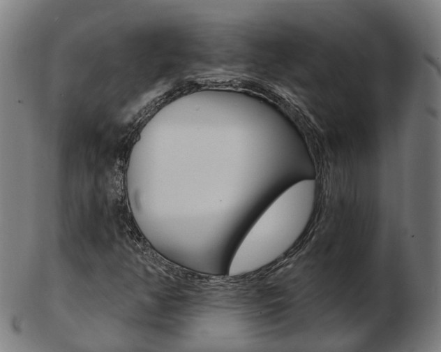 X0000103491350200809120941