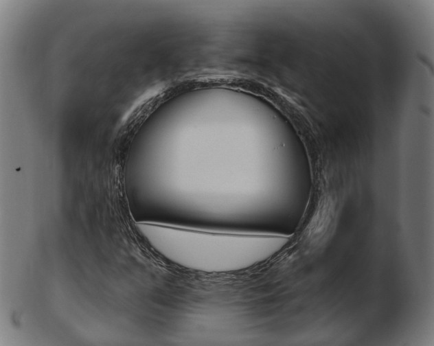 X0000103491351200809120941