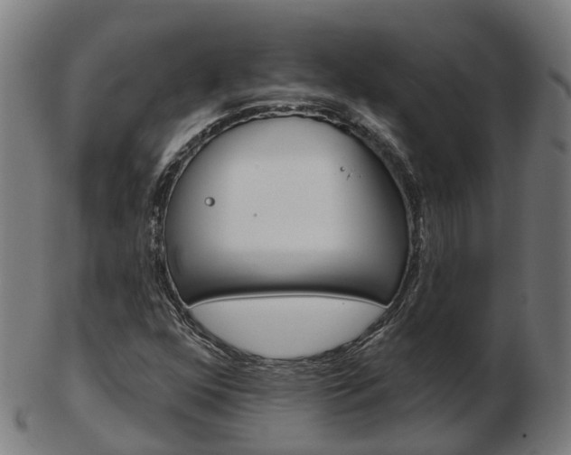X0000103491352200809120941