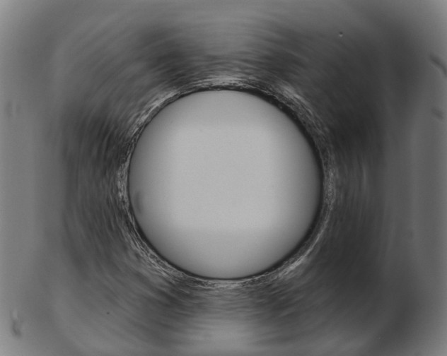 X0000103491353200809120941