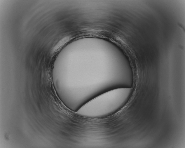 X0000103491354200809120941