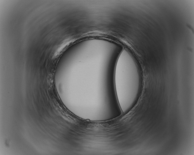 X0000103491355200809120941