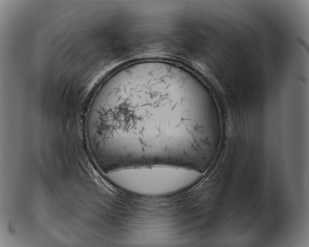 X0000103491356200809120941