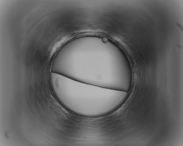 X0000103491357200809120941
