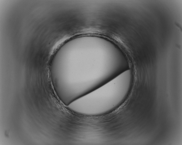 X0000103491358200809120941
