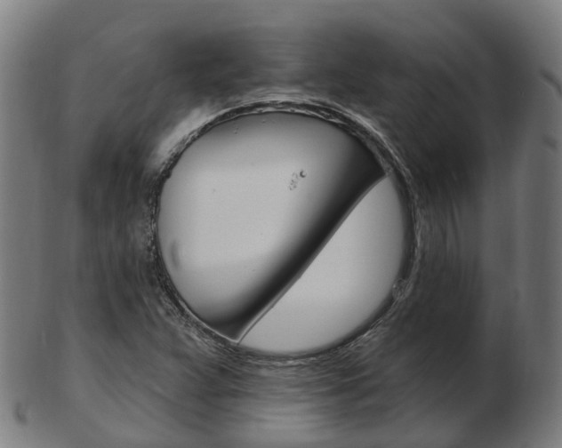 X0000103491359200809120941