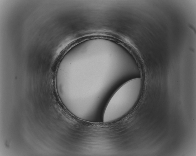 X0000103491360200809120941