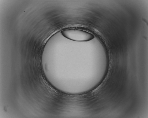 X0000103491361200809120941