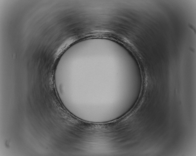 X0000103491362200809120941