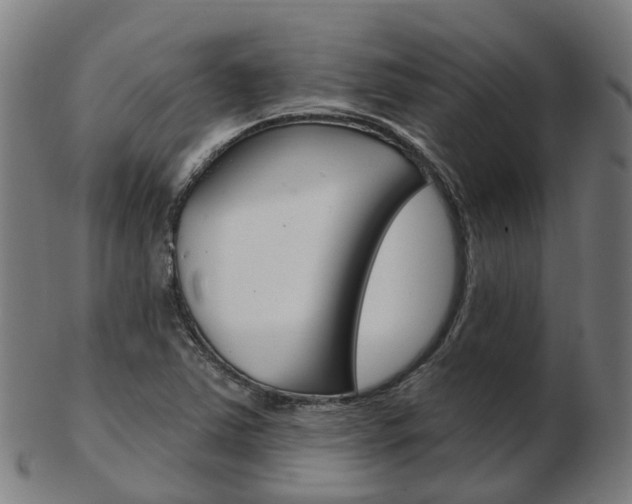 X0000103491363200809120941