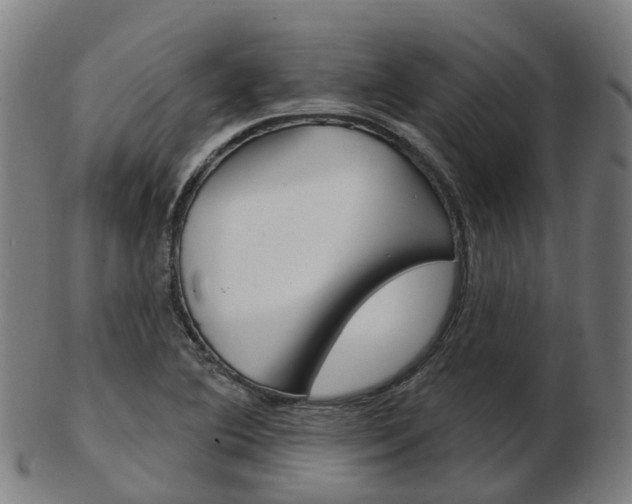 X0000103491364200809120941