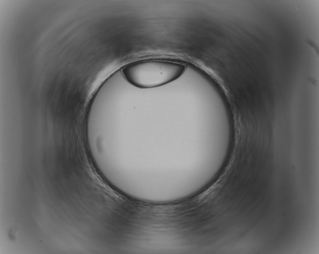 X0000103491365200809120941
