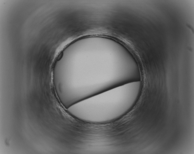 X0000103491366200809120941