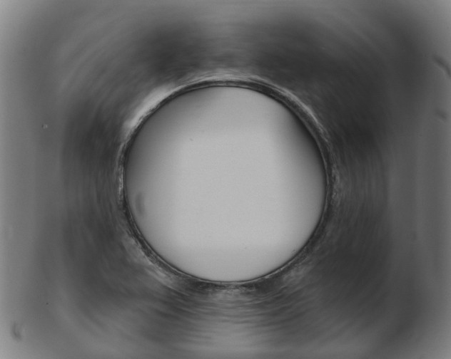 X0000103491367200809120941