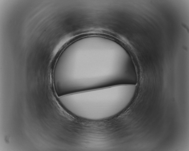 X0000103491368200809120941