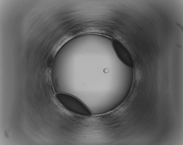 X0000103491369200809120941